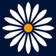 Daisy by O2